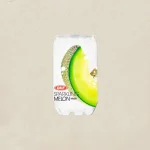 OKF Sparkling Melon 스파클링 메론